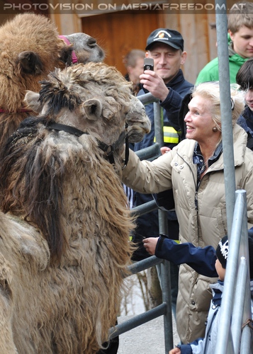 Hochzeit des Sultan 09
