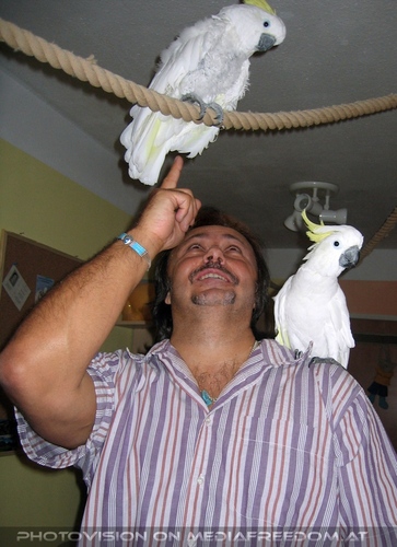 Blue-eyed lullaby 23: Puppe ,Charly Swoboda,Elvis der Kakadu