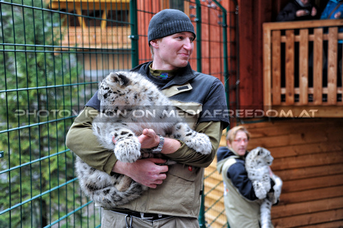 Schneeleoparden 09: Rainer Z�chling,Romana Goldhahn