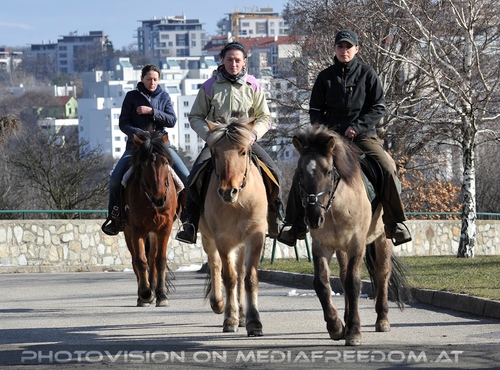Reitende Tierpfleger