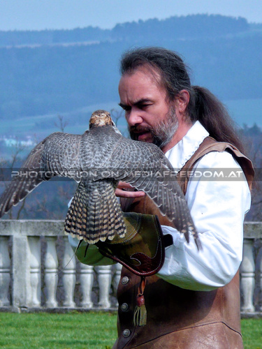 Renaissancefalknerei 09