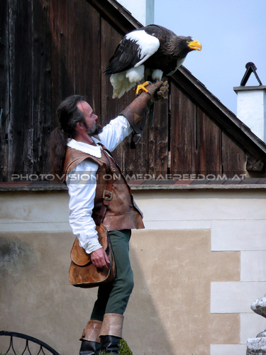 Renaissancefalknerei 12