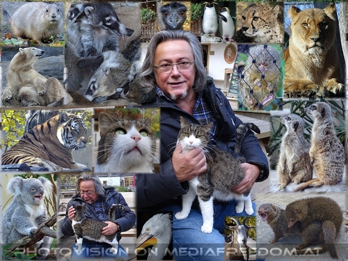 Von den kleinen bis zu den gro�en Tieren