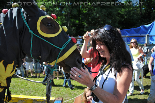 Turnier zu Pferde 20