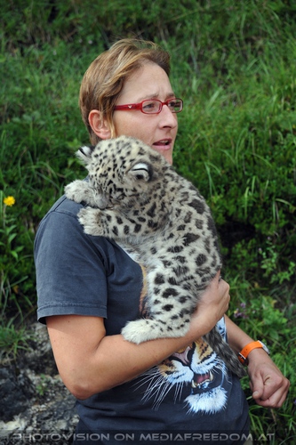 Begr��ung der Schneeleoparden-Zwillinge 18: Romana Goldhahn