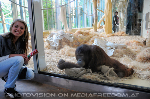 Meeting in der Orang-erie