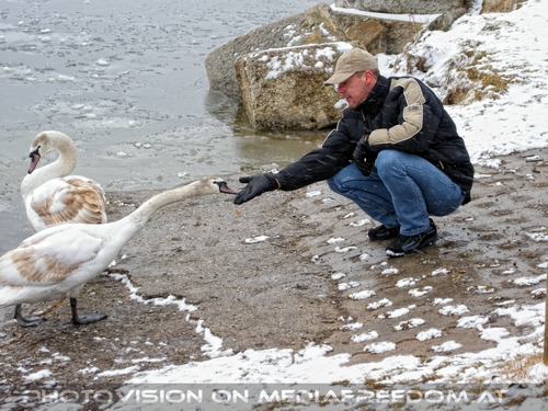 F�ttertour Pix 11: Schw�ne