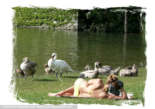 Neue Badesaison = Friedliche Koexistenz