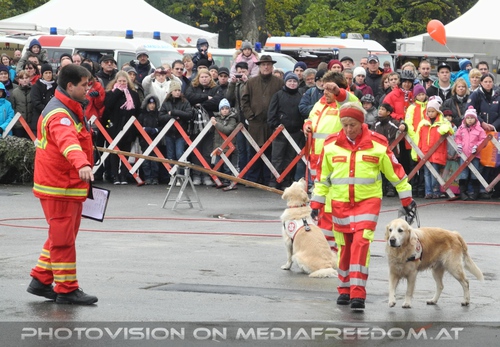 Hundestaffel Pr�sentation