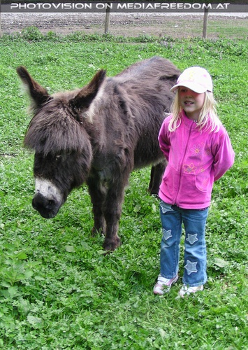 Wer ist der Esel, na wer...?