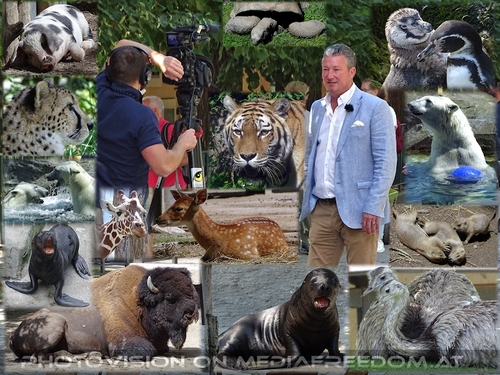 Der Tierg�rtner und seine Tiere