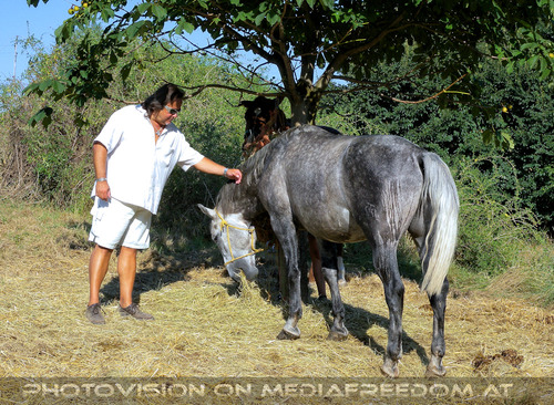 Das Ritterturnier 06