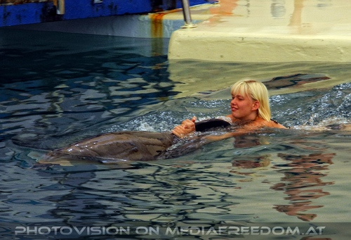 Swim with Dolphins 03