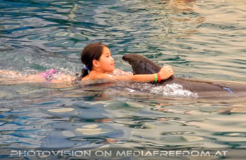 Swim with Dolphins 04