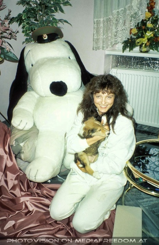 Die Tricolore-Collies 02