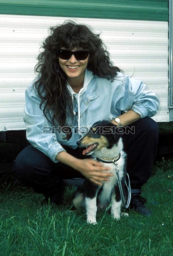 Tracy - The Collie Fan: Tracy (Gabi S.)