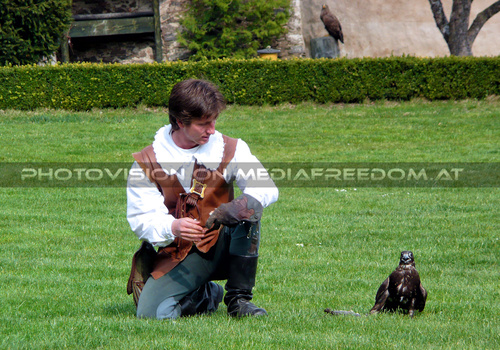 Renaissancefalknerei 10