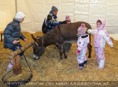 Im Paradies f�r Tiere 16