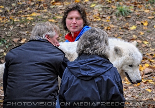 Wolf Science Center 02