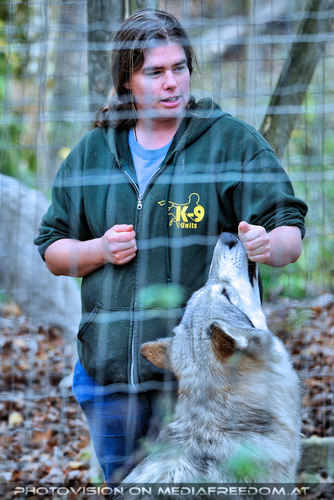 Wolf Science Center 08