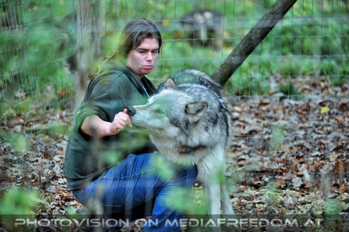 Wolf Science Center 09