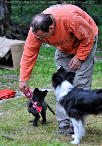 Wolf Science Center 14