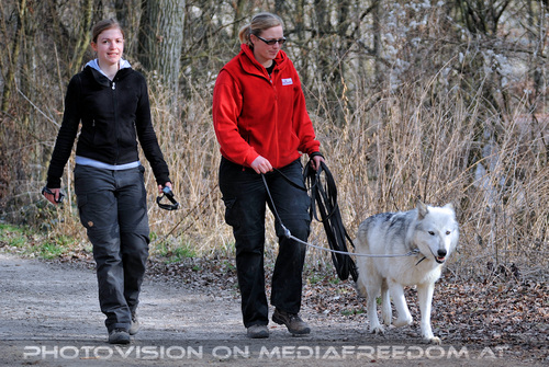 Wolf Science Center 36
