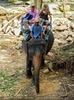 Namuang Jungle Elephant Trip 05