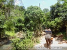 Namuang Jungle Elephant Trip 17