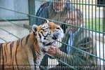 Tigeranlage Er�ffnung 17