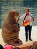 Walrus Show 08