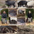 Gabriele P., Charly Swoboda Naturpark Sparbach