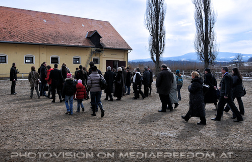 Stuten mit ihren Fohlen 01