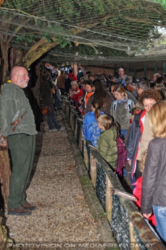 Die V�gel 07 bestaunen