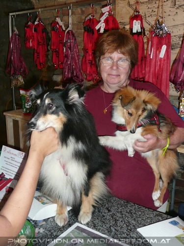 Auch Hunde helfen leben