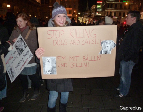 Stop killing ...