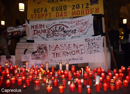 Tiermord - nein danke !