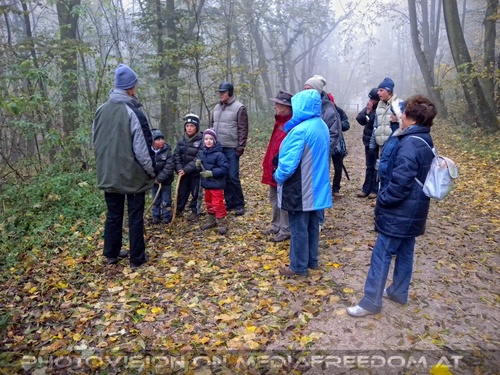 Wolf Science Center 04