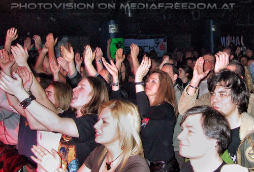 The Monkey Puzzle 25