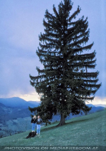 Wo a Toi do a Beag 02