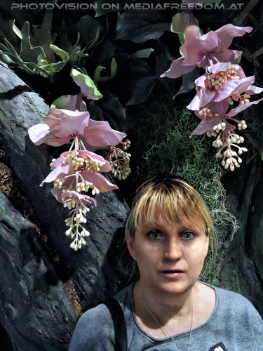 Aqua Terra 12: Gabriele P.