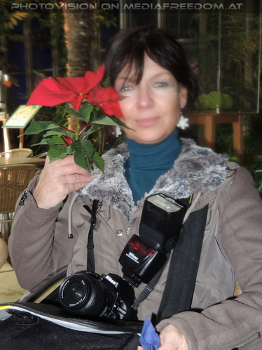 1. Advent 42: Eva D.