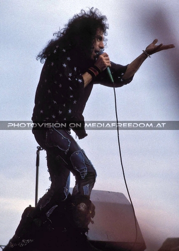 Lock up the wolves 09