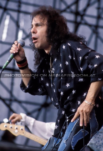 Lock up the wolves 12