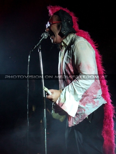 The Tigers Party 079