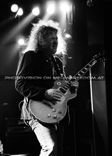 Incorrect Species 17