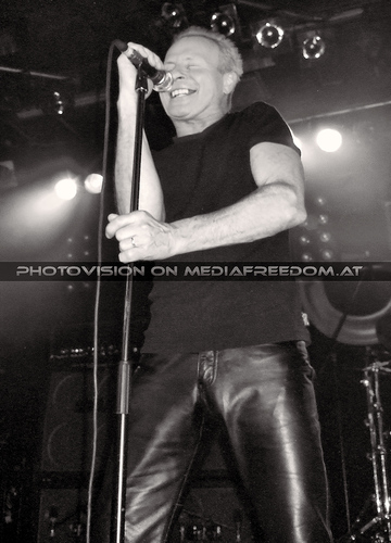 The Monkey Puzzle 14