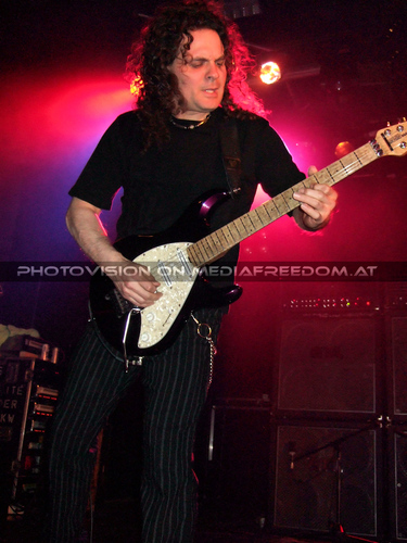 The Monkey Puzzle 18