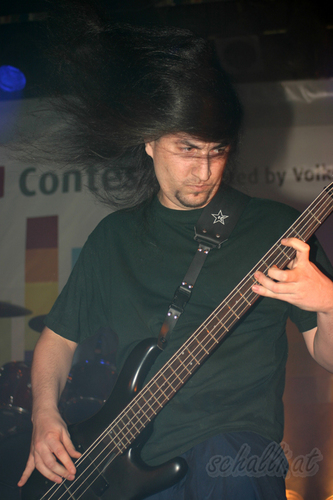 WERNER GOLD / Tilt-X: Werner Gold