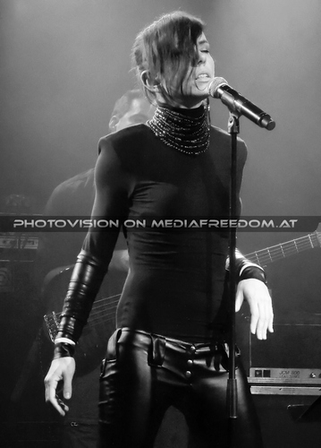 Hallucination Company 34